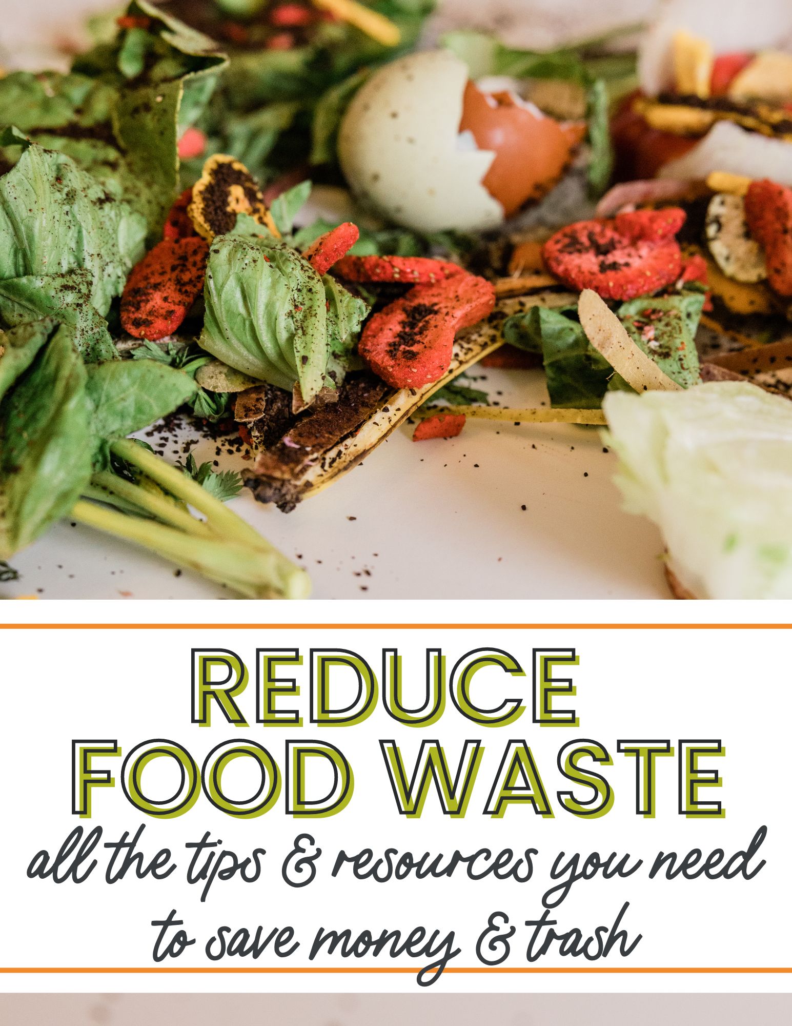 reduce food waste and save money with these tips and resources