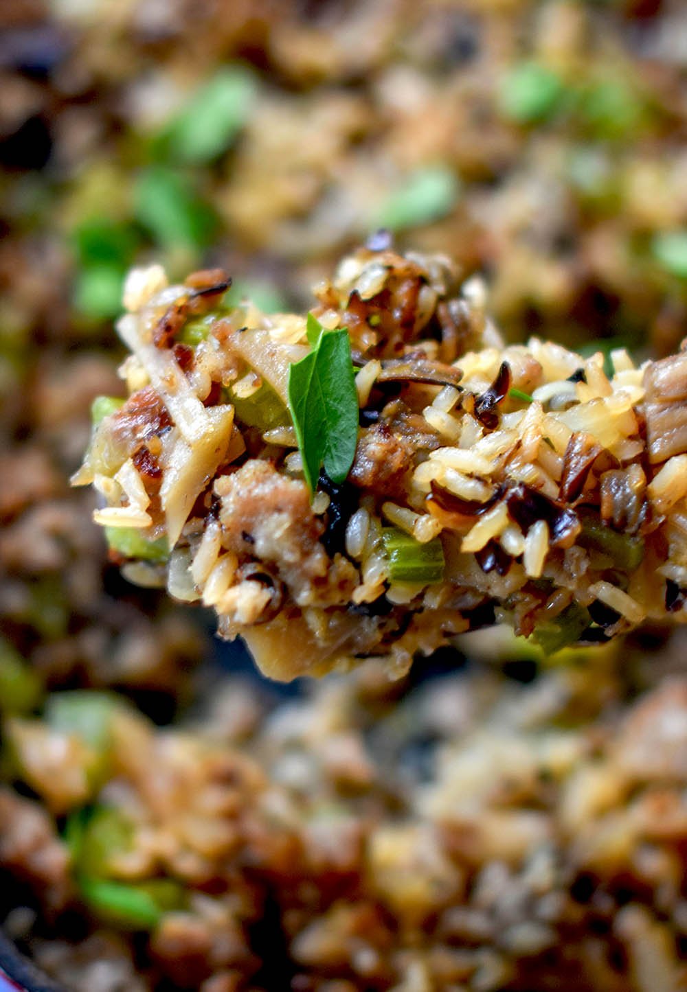 Spoonful of wild rice dressing