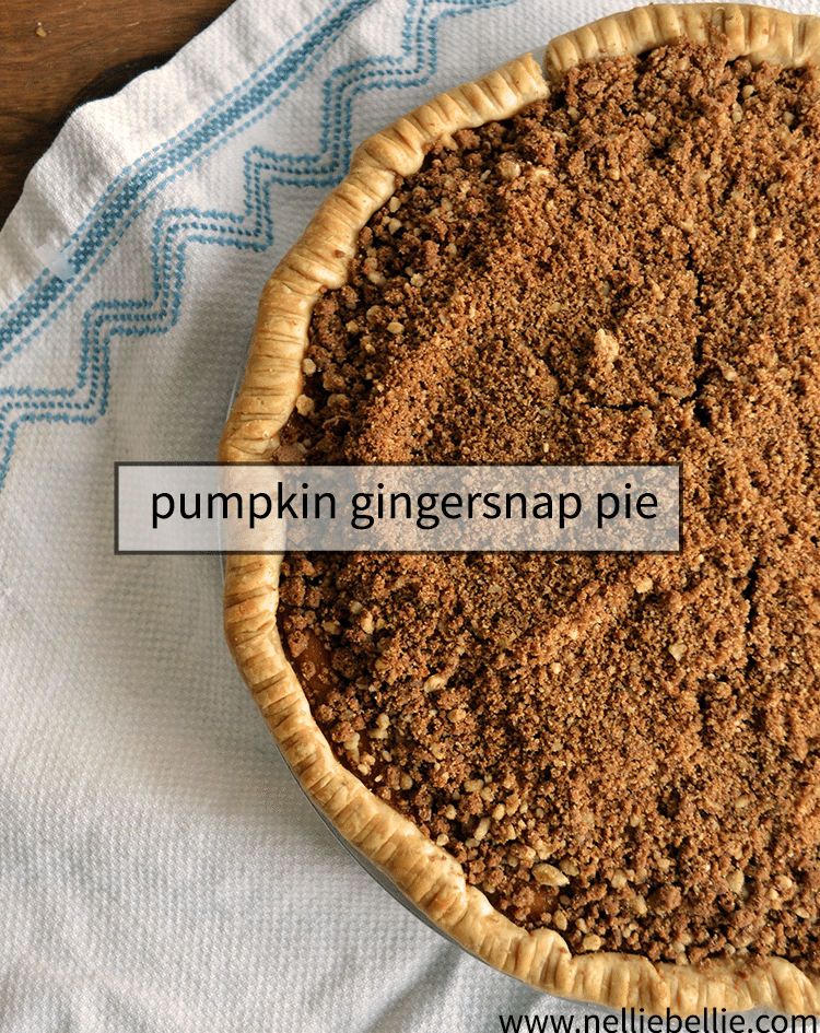 pumpkin pie with gingersnap and pecan crumble is easy to make and a lovely fall pie! #recipes #pie #gingersnap #pumpkin
